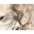 商品説明